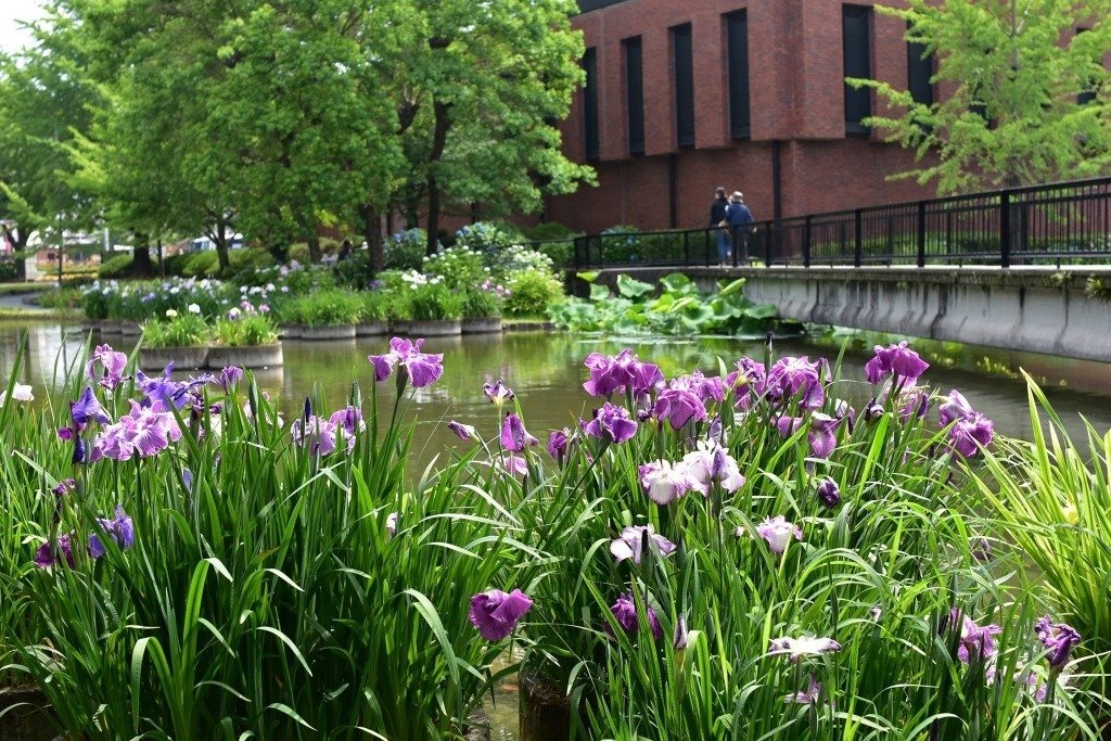 🏛️ 이시바시 문화센터 이미지 12